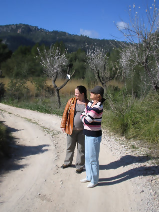 Mallorca 2006