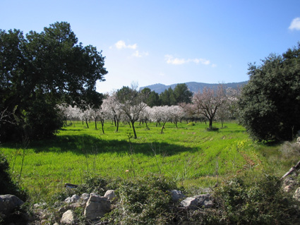 Mallorca 2006